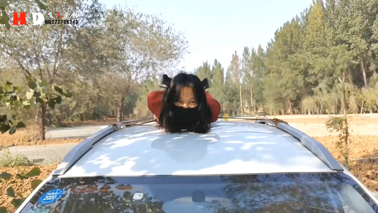 飞天原创 云儿国内第一车顶驷马逛街 公园里跪立行走股绳.mp4_20191003_132714.601