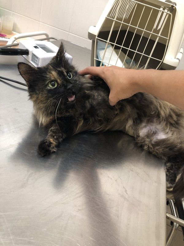 C15B176F-2A41-4739-BE71-3C012488AF74