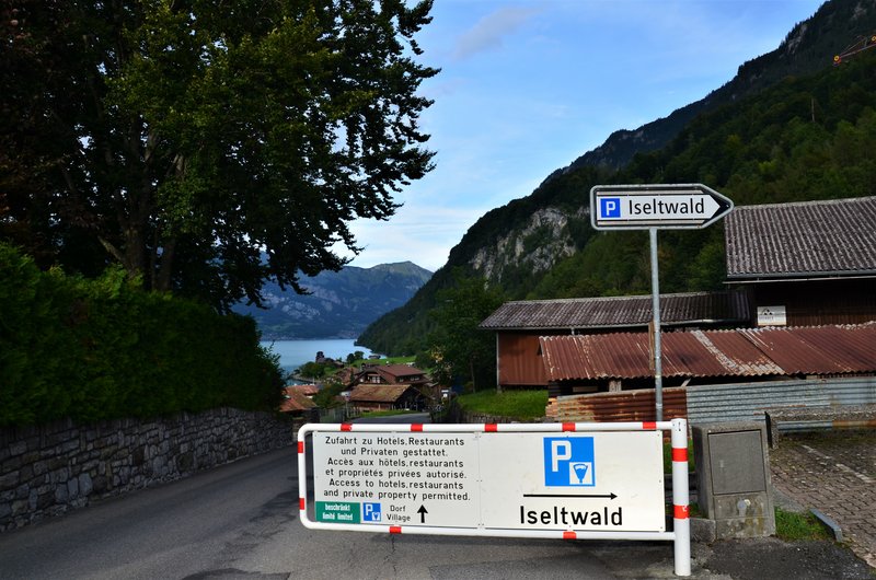 BRIENZ E ISELTWALD-9-9-2019 - Suiza y sus pueblos-2019 (73)