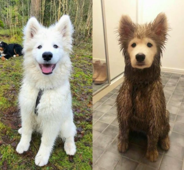 Before-After-20