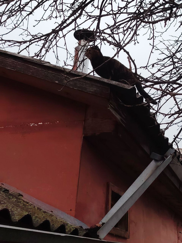 4 photo 2025 12 01 14 38 03 (2)