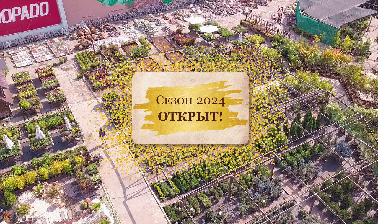 Otkritie-2024 /Otkritie-2024
