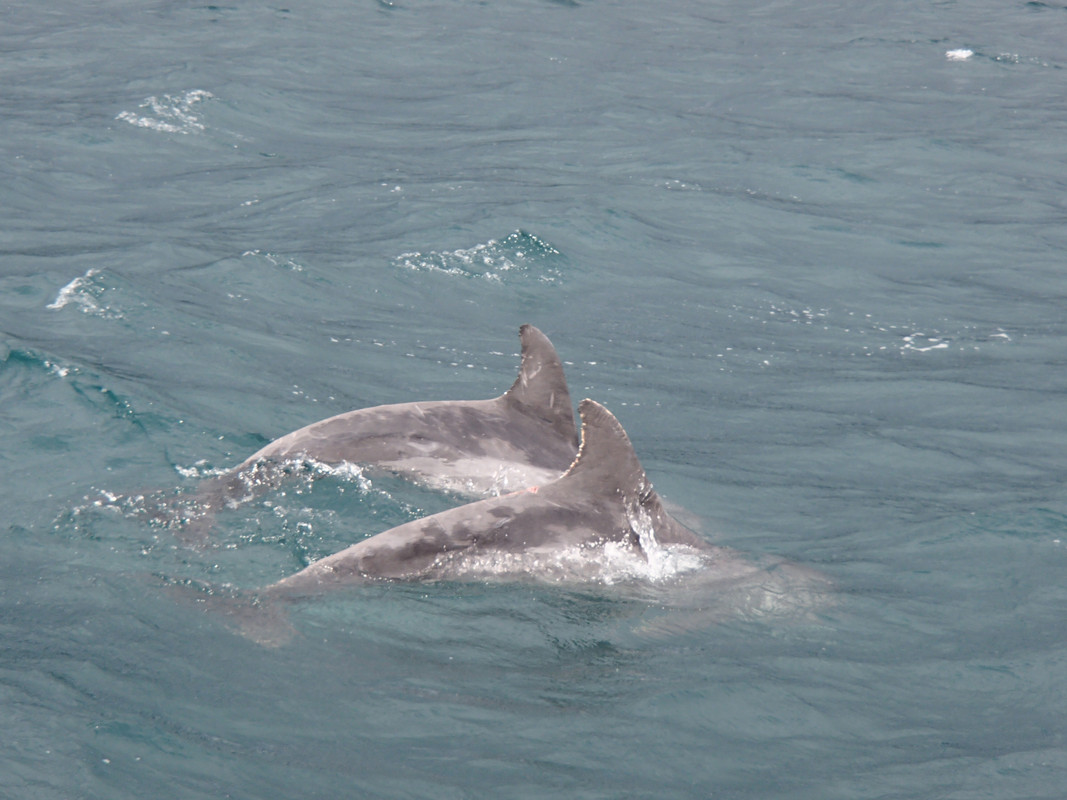 Arraial do Cabo. Playa. Buceo. Maravilloso. - Blogs of Brazil - Lunes 17 al sábado 22 de junio (11)