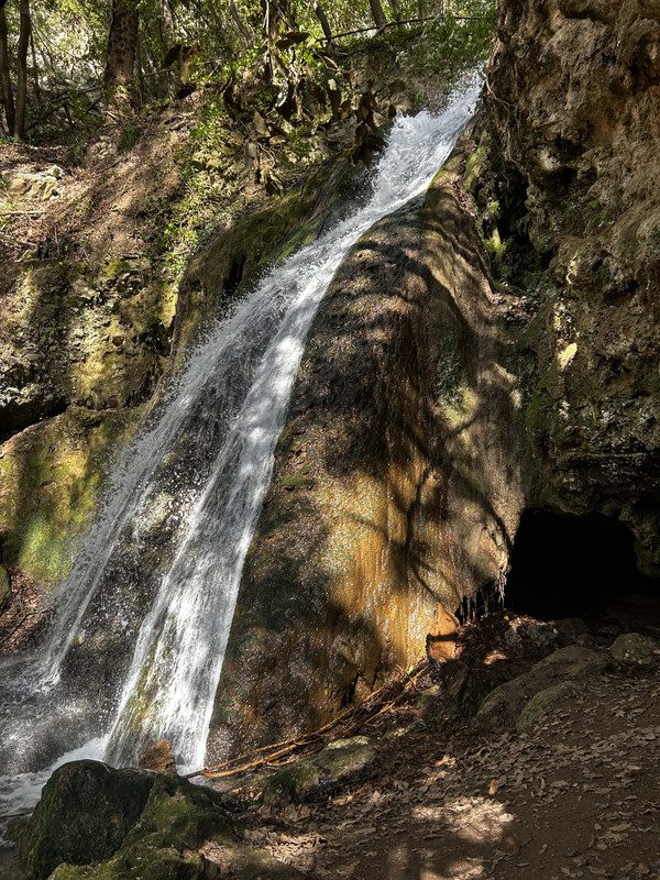 C9E11DD0-15E4-45F2-B87D-BA3173E23198