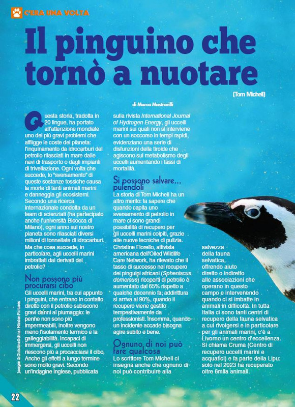 Foc Wil - Feb 2024 (5)