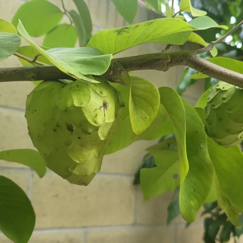 IMG_20211101_165420_256