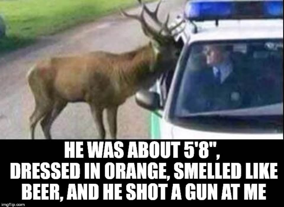 FB_IMG_1755871788404