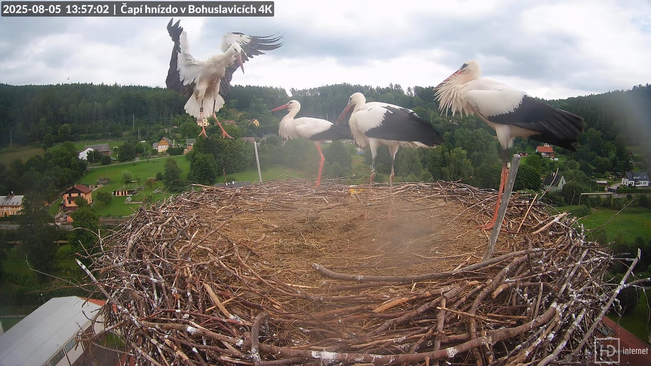 Tiešraide no KARA uzņēmuma stārķu skursteņa Bohuslavicē netālu no Trutnovas 11-47-54 screenshot