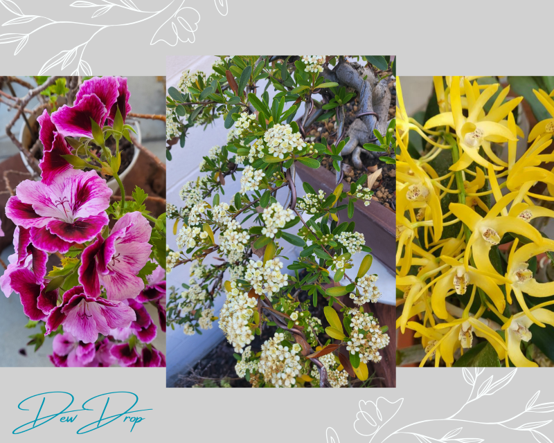 [Image: 041924-2.png]