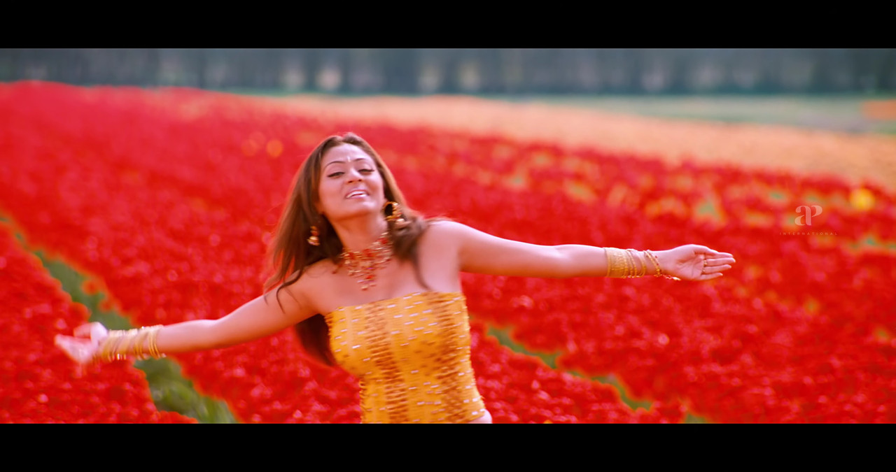 VideoCapture_20241122-200536