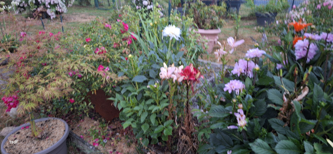 [Image: 20250625-220550.jpg]