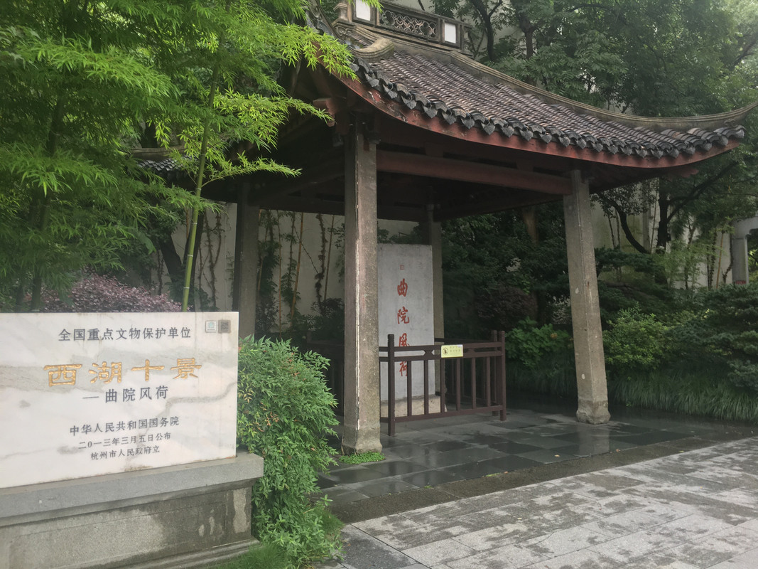 曲院风荷