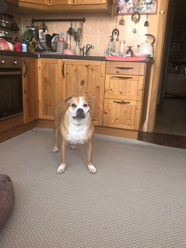 3959A1A2-B56D-472C-BA07-4FA8255F773E