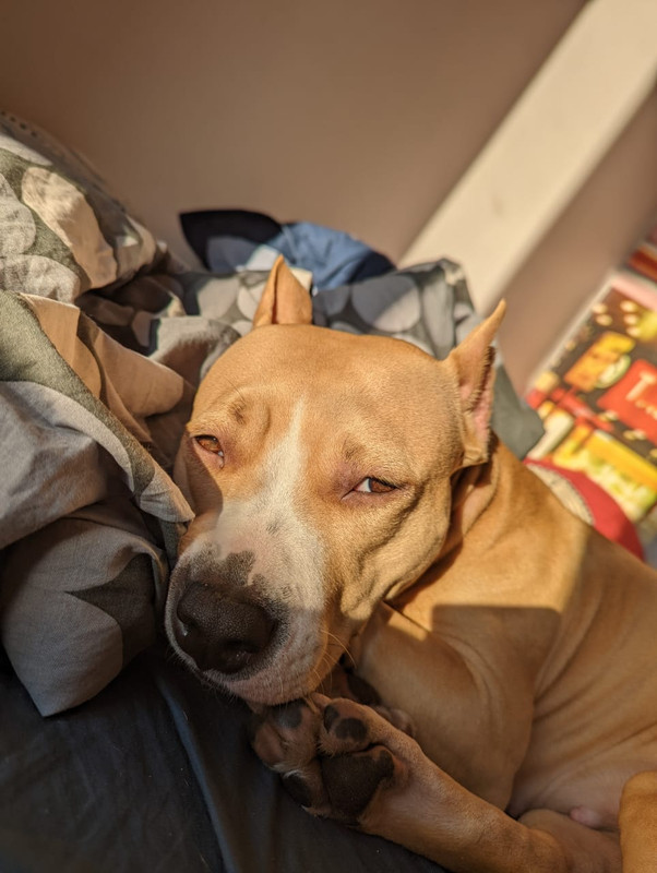 A5C5D6A6-CADE-4451-8B49-BEA95EDBDA04