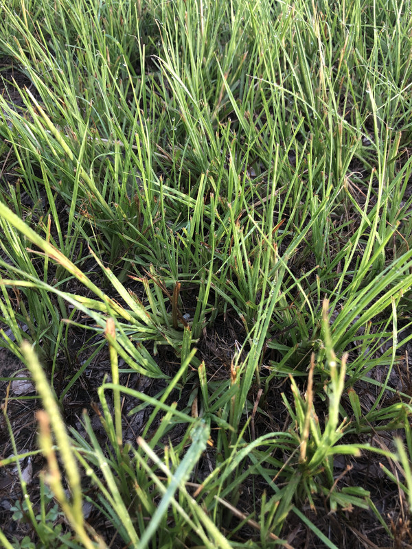 F8275502-AA69-42C3-B78C-1DA077CD392F