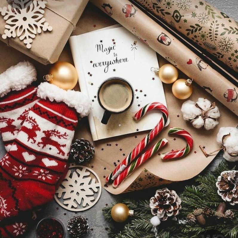 Screenshot_20231204_214311_Pinterest