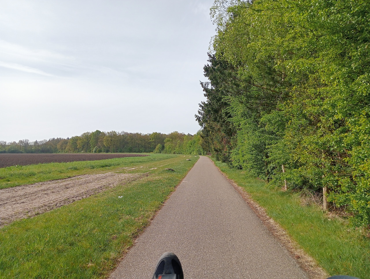 [Afbeelding: IMG20260427102943.jpg]