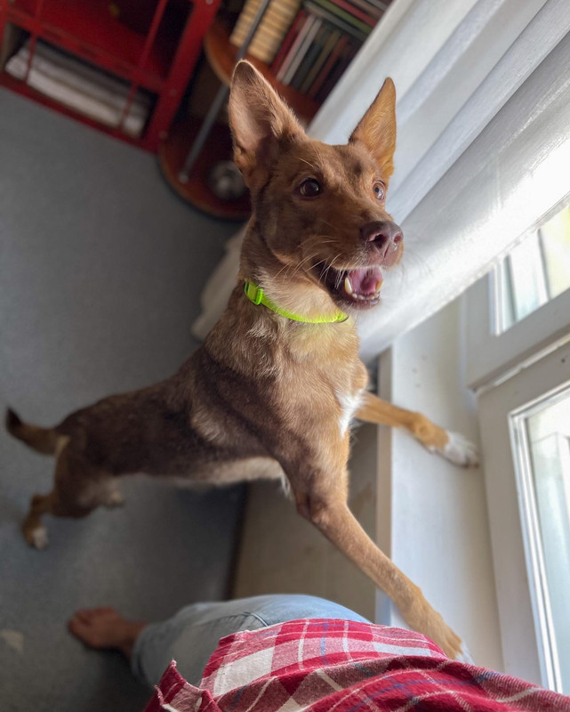 D07E3717-513F-49A7-973C-0DD29527D8C8