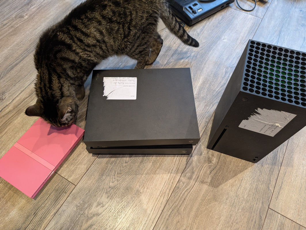 PXL_20241130_121325460