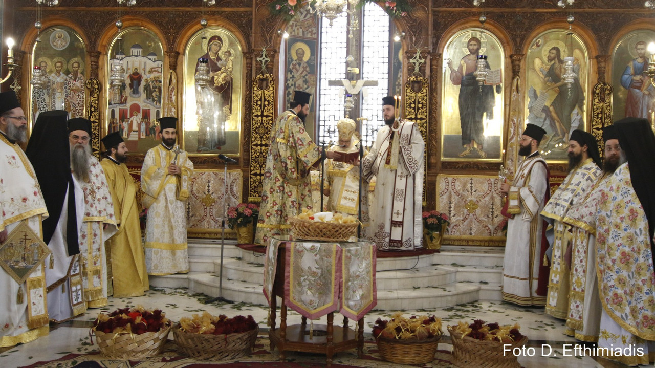 _7D20735 (Αντιγραφή)