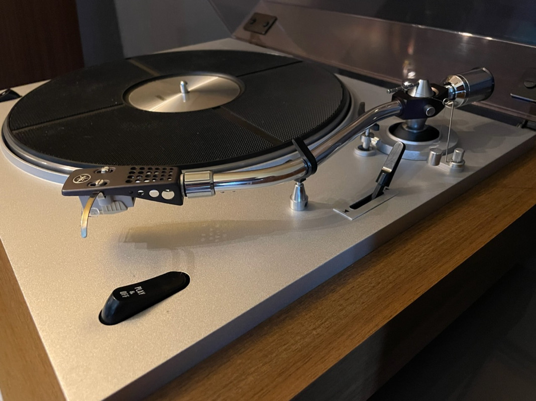 54158121-4231-4D84-BE7C-1A8C950A0490