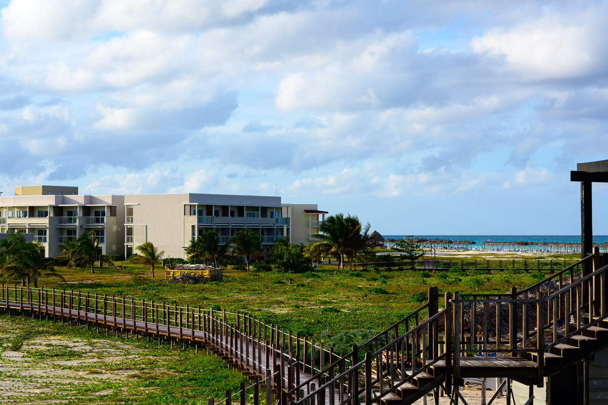 DSC1597.jpg