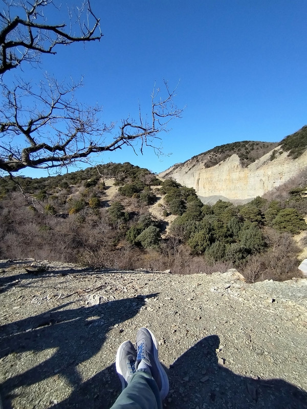 IMG_20240224_152537_edit_83678362403756