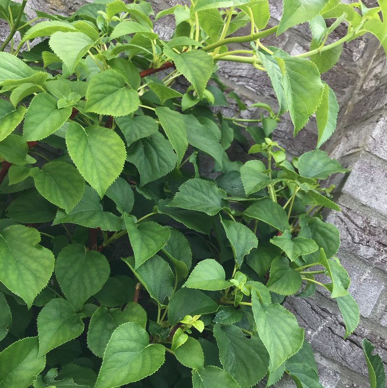 81AD334A-ABE8-489B-9366-73EA9C8203DF