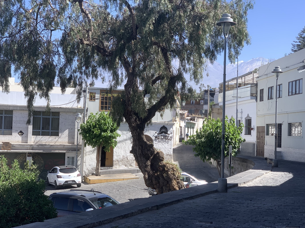 E44AD54C-C568-49CB-A6EA-304D8A7BC266