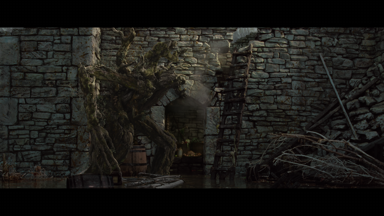 The Lord of the Rings- The Two Towers (EXT.) PT. 2.mkv_snapshot_01.41.42_[2020.12.11_21.51.38]