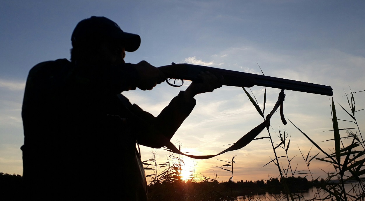 Ружья 16 калибра