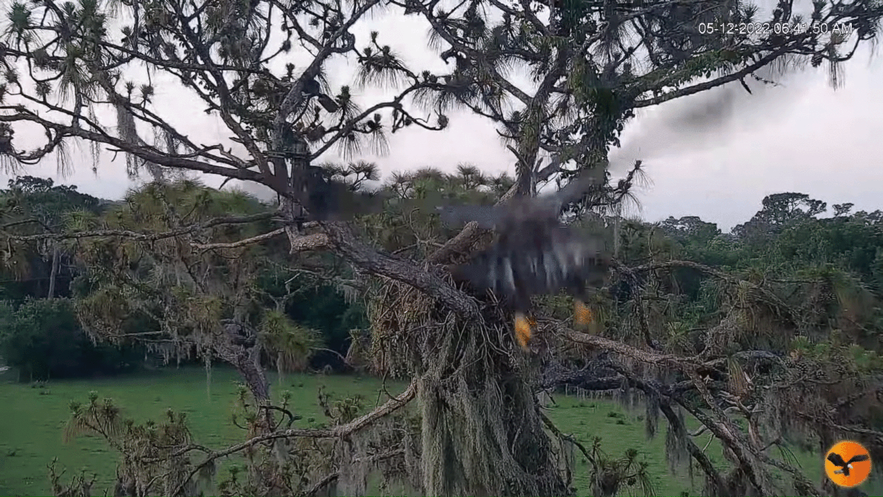 Webp.net-gifmaker (7)