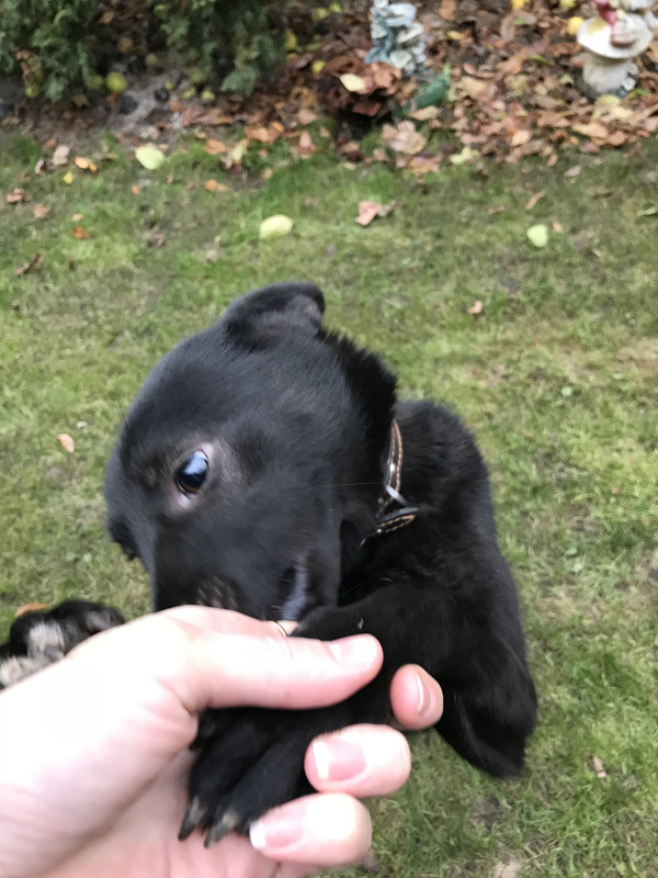 E6E4F296-E64B-4533-8F9B-26963658239B