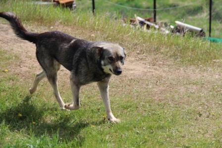 Лозьва 2013 179