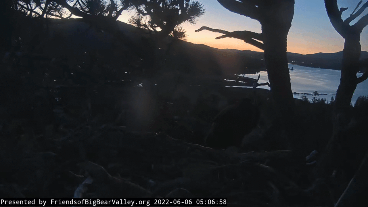 Webp.net-gifmaker (2)