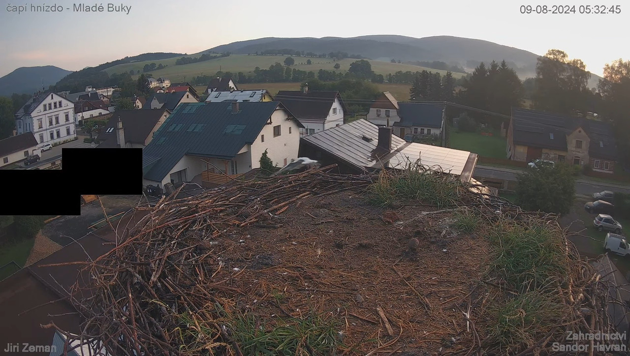 Živá kamera - Mladé Buky - čapí hnízdo 10-7-29 screenshot