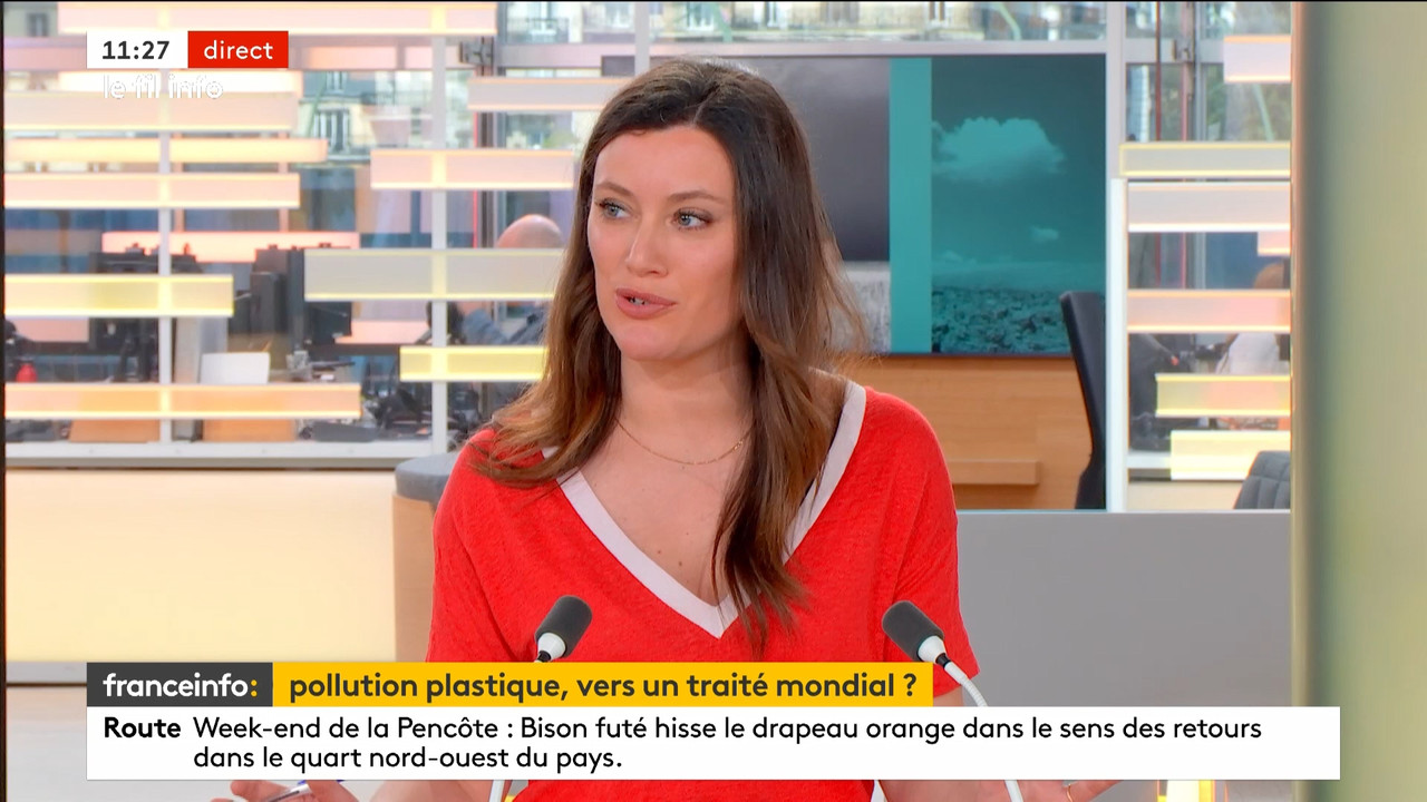 Le fil info 10h30 2023_05_29_09_28_00.ts_snapshot_01.02.02.750