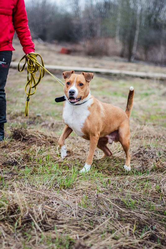 без имени-1207