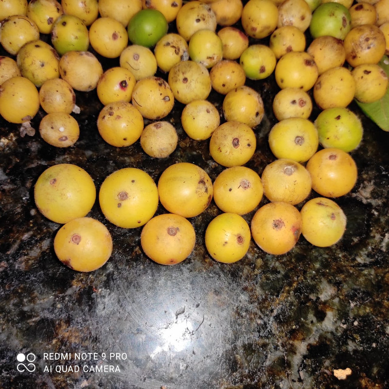 WhatsApp Image 2020-12-20 at 13.41.20 (9)