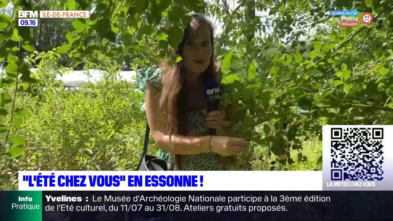 vlc-record-2022-08-13-16h22m53s-08.13 - 07.55.51-1.m4v-.mp4_snapshot_01.55_[2022.08.13_16.51.47]