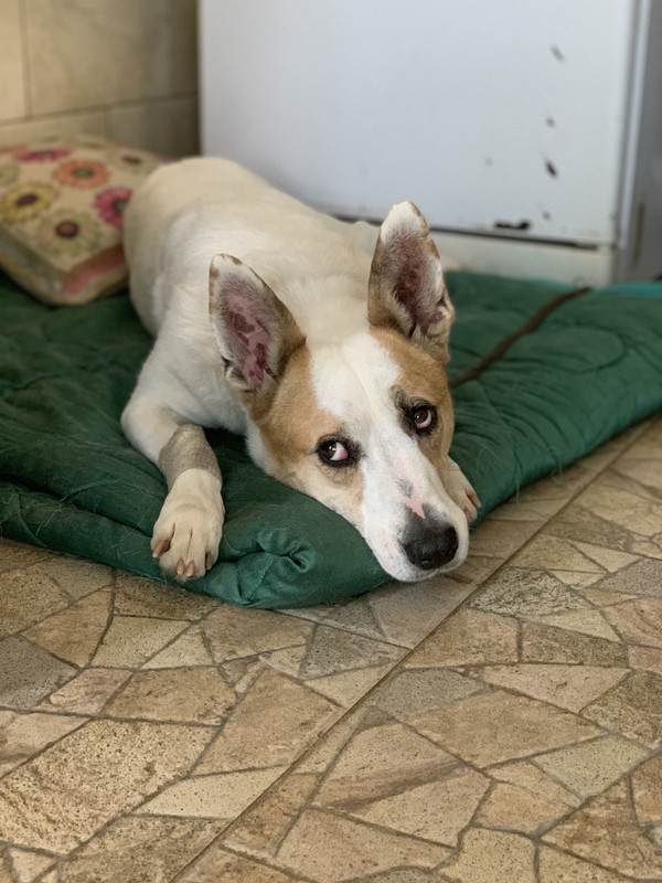 F65313FF-ADAE-42C8-8C27-ED641C7E5778