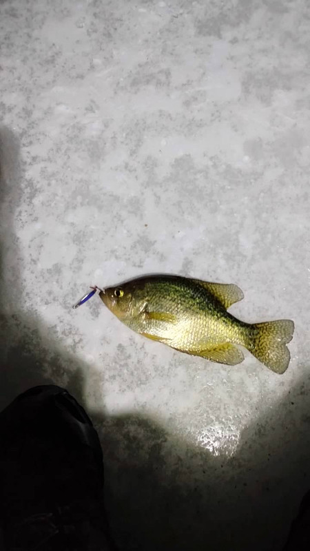 00 t K7fzfmay435sp VYq8Bk Qle WU3TA7JQt XTg Ea M6a6u PG1JMIeb Xv QKDZEXLKx L94x J2Twu75QF jiz Mk B1Z