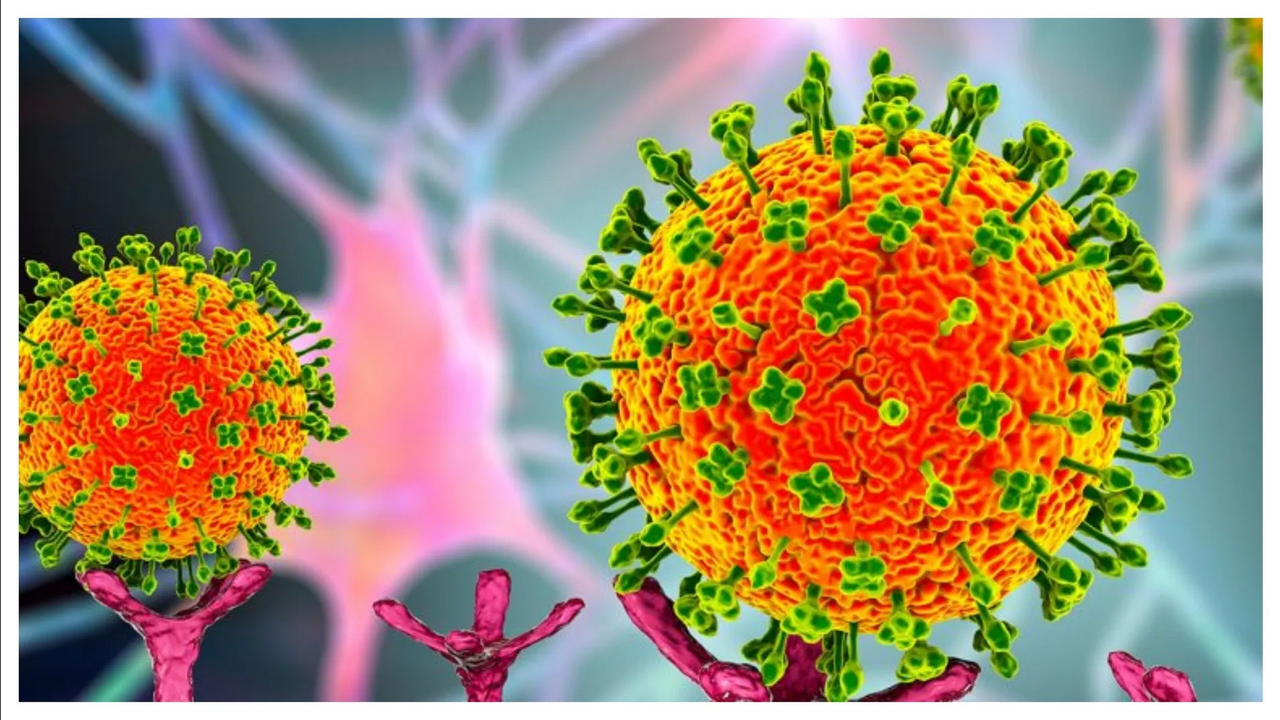 China experimenta nuevo virus con mortalidad del 100%, similar al SARS-CoV-2