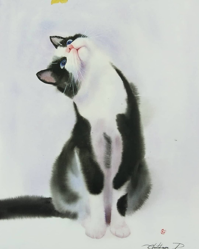53
