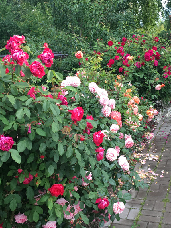 6BAED100-4B44-4408-BCB2-E74FAE423B3D