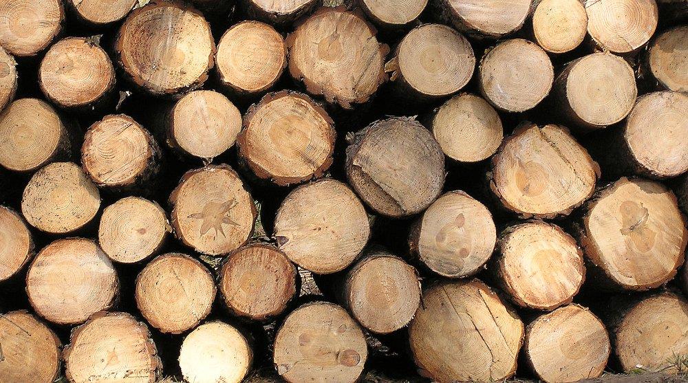 wood-texture-3dsmax-156