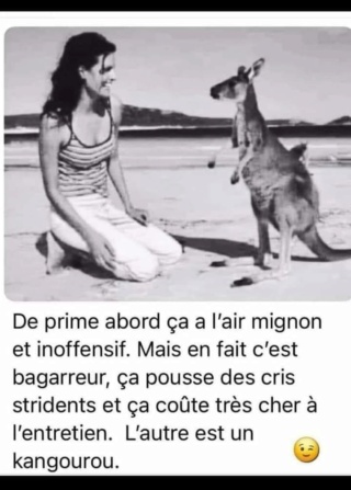 44131910.jpg