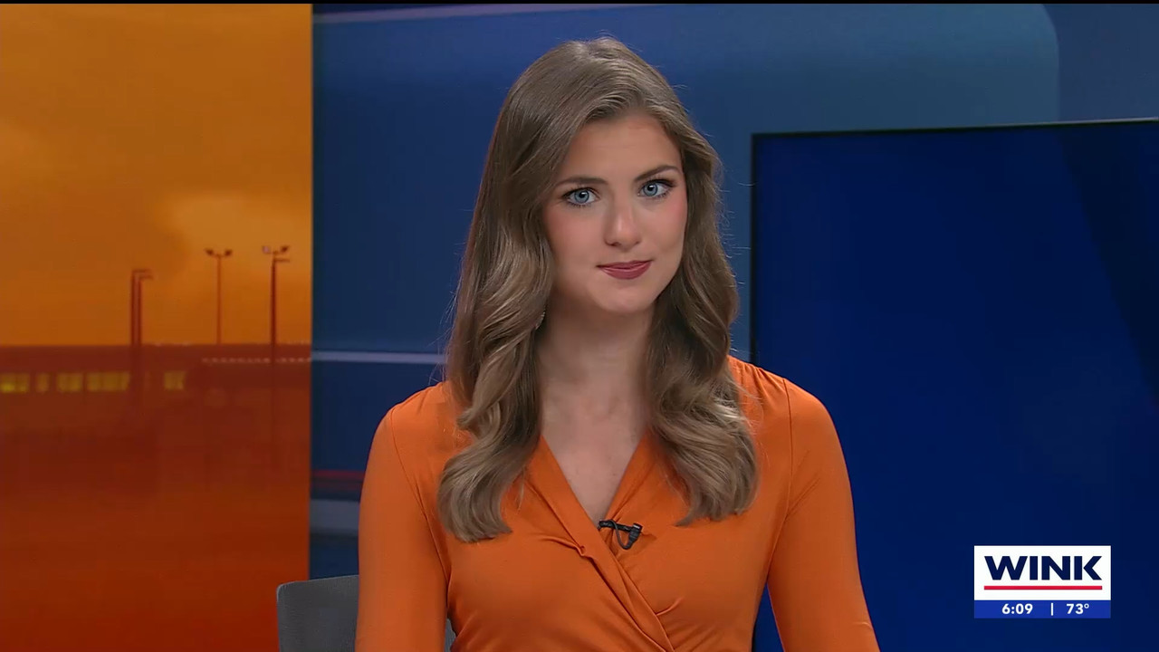03.09 - 11.00.01 - WINK NEWS at 6 00am Saturday. Saturday morning new....ts_snapshot_00.12.21.980