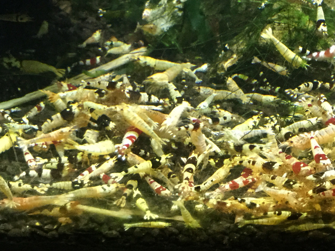 F83D85F6-C685-4D76-AB4D-EBD008B1CD98