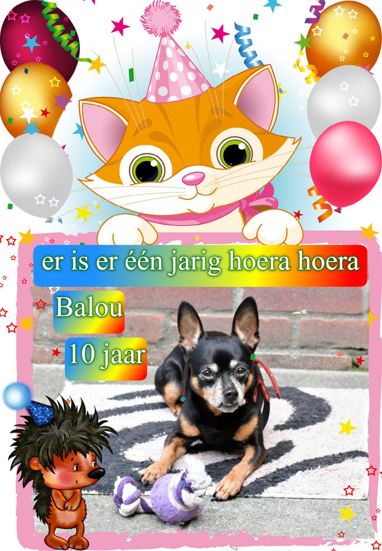 Afbeelding